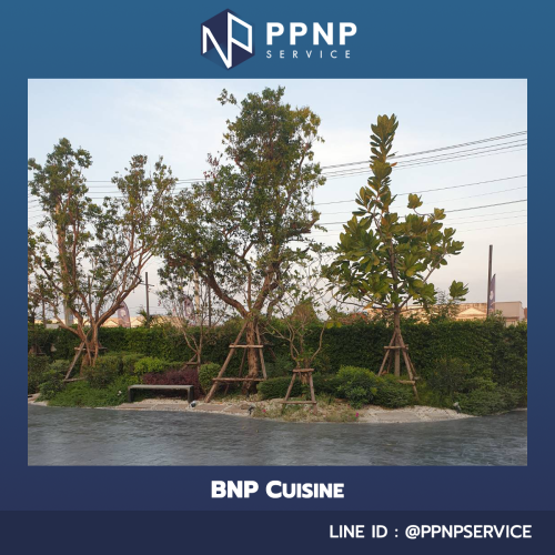 BNP CUISINE-คอนกรีตพิมพ์ลาย